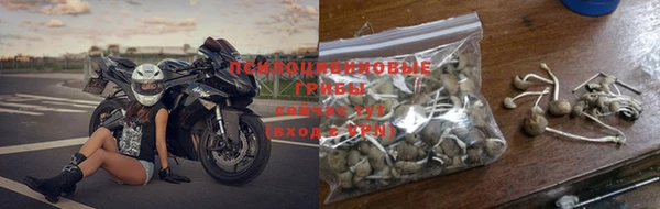 эйфоретик Заводоуковск