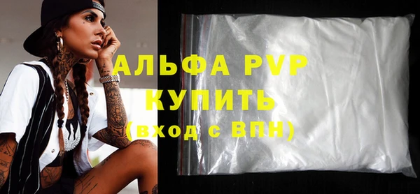 индика Заволжск