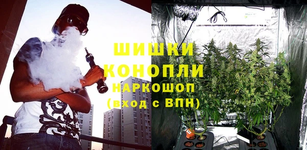 индика Заволжск