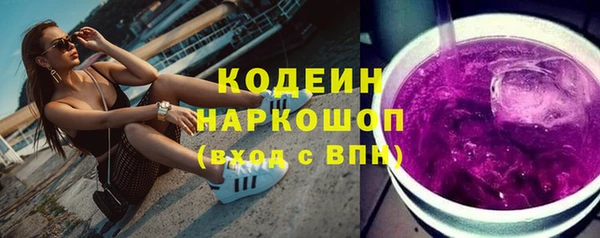 индика Заволжск
