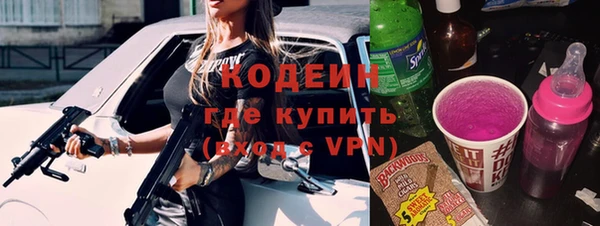 индика Заволжск