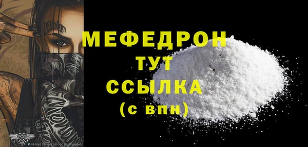 индика Заволжск