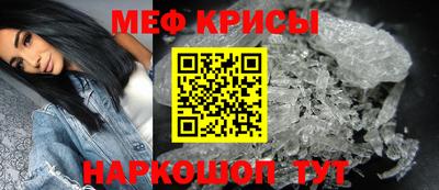 тгк Кингисепп