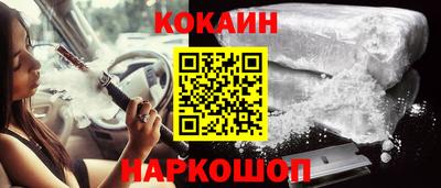тгк Кингисепп