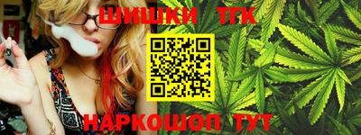 тгк Кингисепп