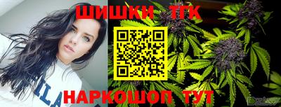 тгк Кингисепп