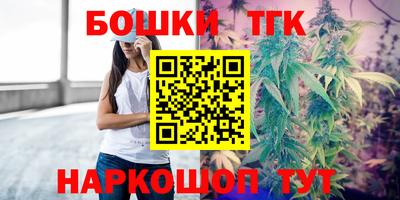 тгк Кингисепп