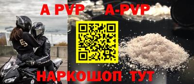 тгк Кингисепп