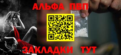 тгк Кингисепп