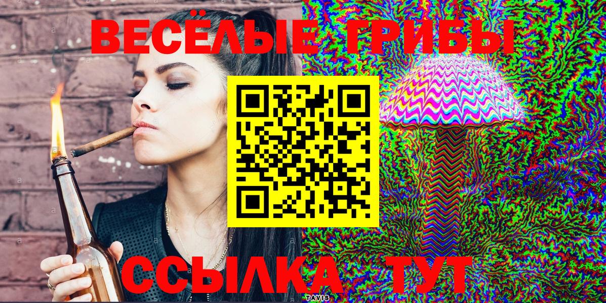 Славгород  Галлюциногенные грибы Psilocybine cubensis  Вход с VPN  Псилоцибиновые грибы GOLDEN TEACHER 