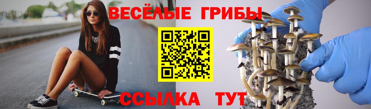 Галлюциногенные грибы Magic Shrooms Славгород